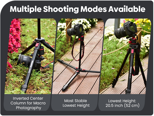 Multiple Shooting Modes Available: Inverted center, column for macro photography