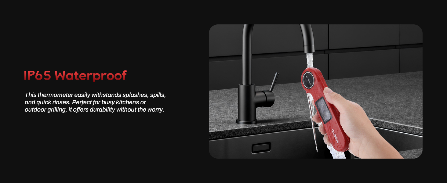 oven thermometer for gas oven