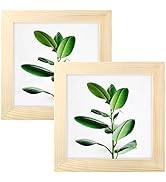 Picture Frames 4x4 Grain Nature Solid Wood 2 Pack for Wall Mount and Tabletop Display