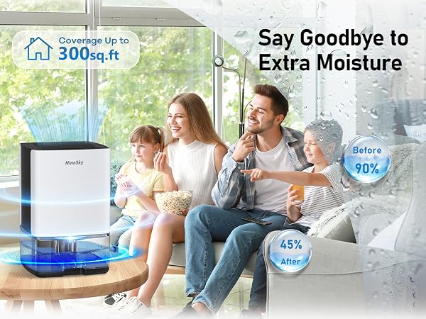 Dehumidifier