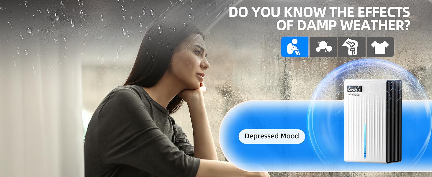Damp weather