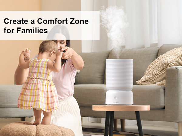 humidifier for living room