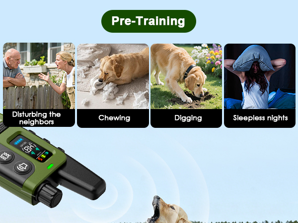 dog training collar