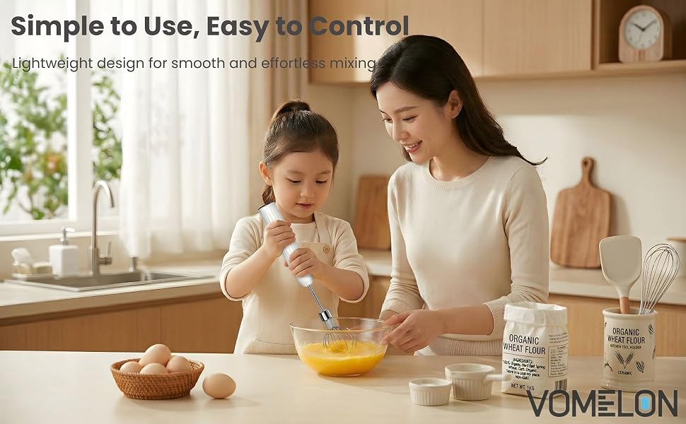 egg whisk