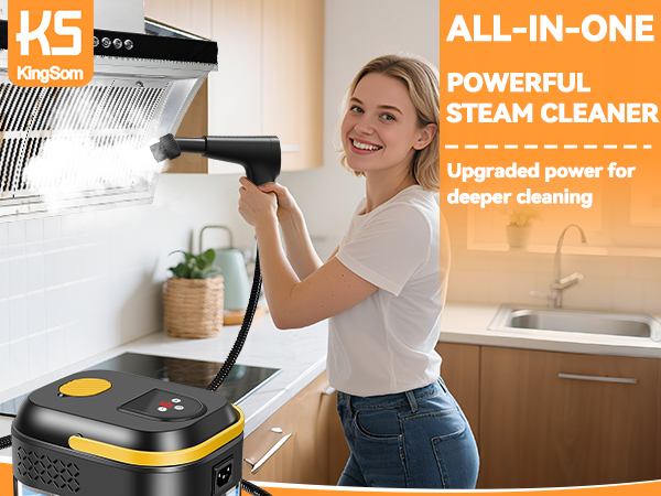 Handheld Steam Cleaner