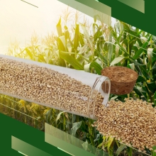Corn Cob Carrier