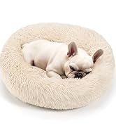dog bed