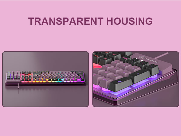 Transparent Housing