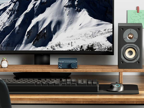 Fosi Audio V1.0G 2 Channel Class D Mini Stereo Amplifier