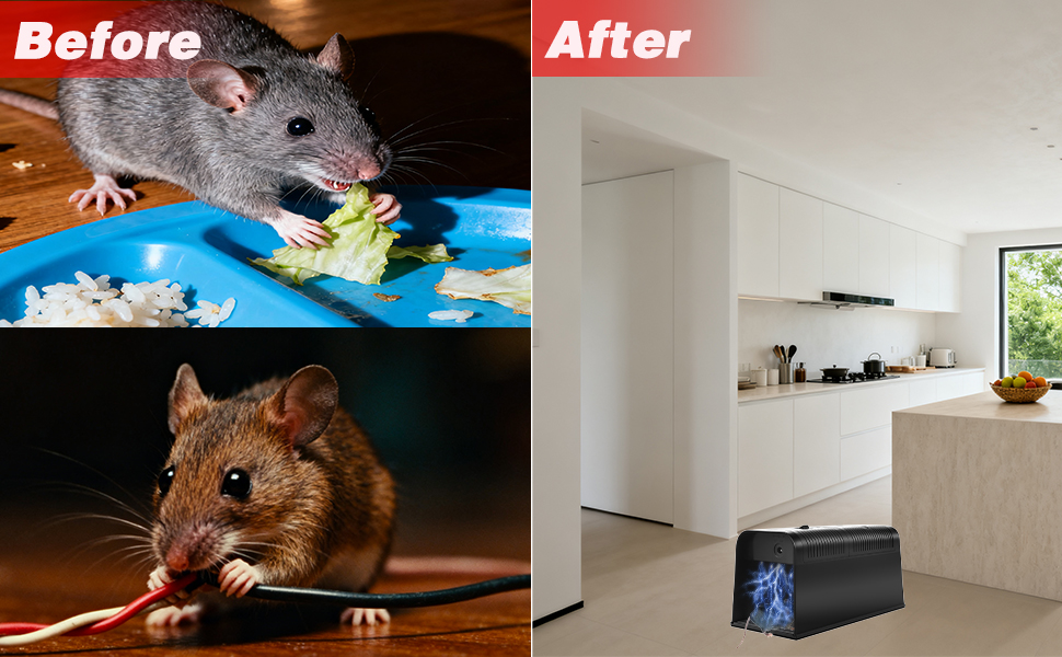 mice traps for house indoor kill