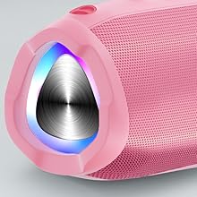 Portable Bluetooth Speaker
