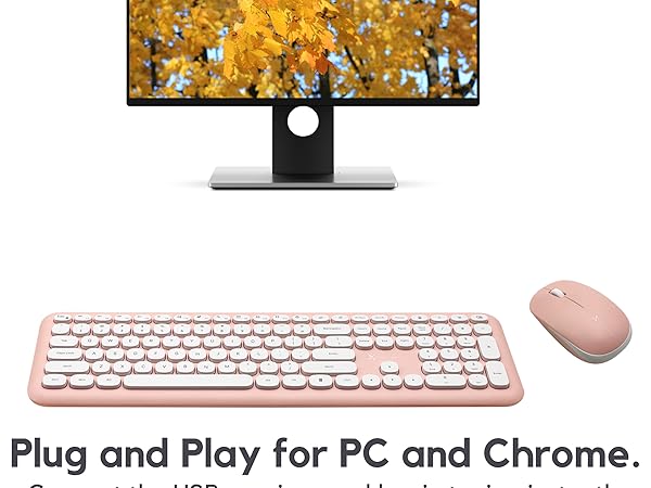 plug and play for pc and chrome