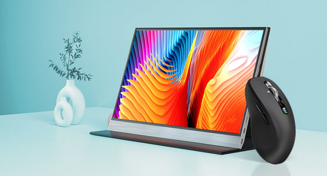 computer mouse wireless