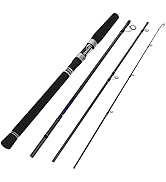 Jenseits Fishing Rods, Carbon Fiber Spinning &amp; Casting Poles, Saltwater Resistant Guides, 7'/8'/9...