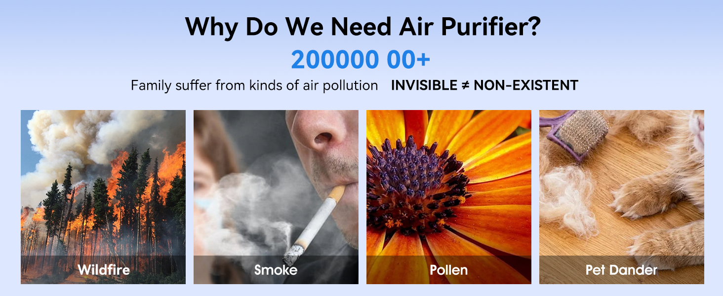 P60 Air Purifiers