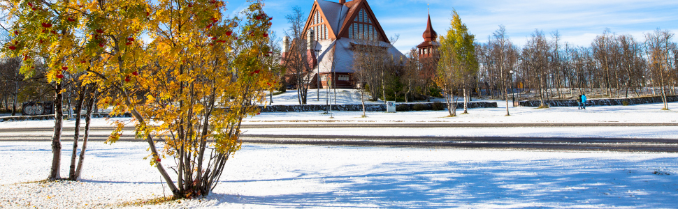 951-14151 Recoil Starter