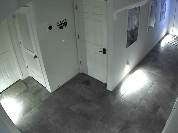 Receptacle Outlet with Night Light,Tamper-Resistant,15A,2 Pole,Standard Electrical Outlets