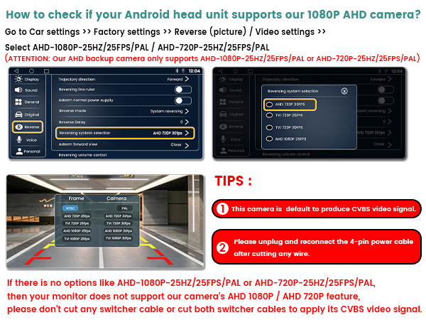 video format seeting