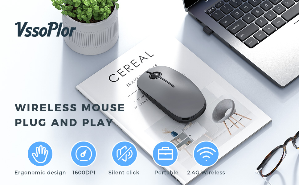 gray mouse