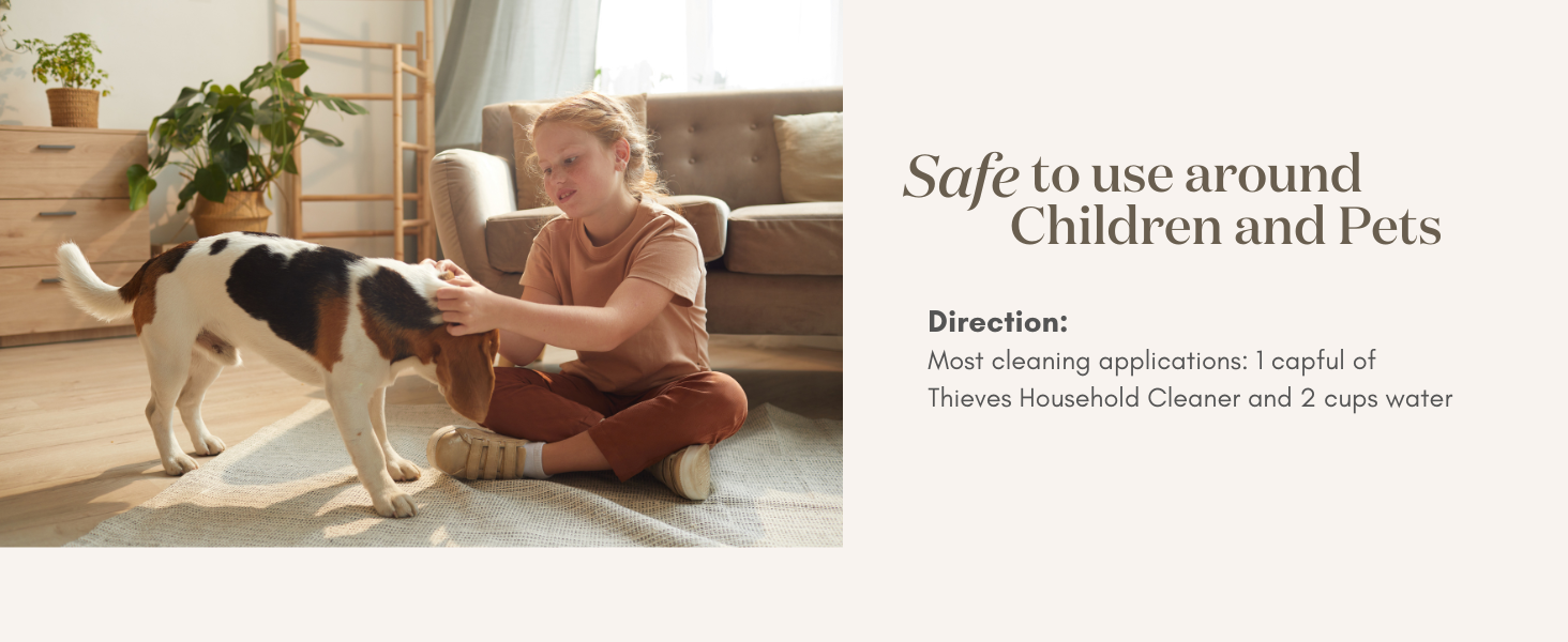 oven cleaner stuff couch cleaner wall cleaner bathtub cleaner pet carpet cleaner tub cleaner child