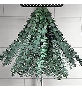 35 PCS Dried Eucalyptus Stems for Shower Hanging, 100% Made from Fresh Leaves, 17” Preserved Euca...