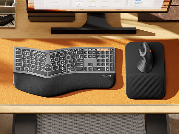 ProtoArc Ergonomic Mouse