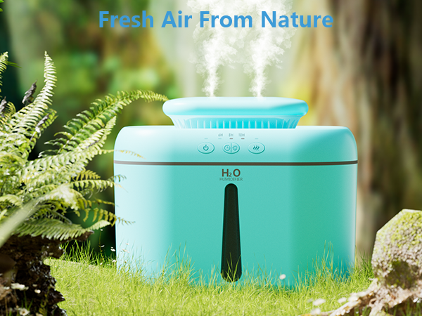 Humidifier for Plants