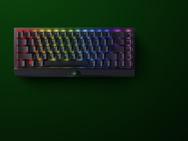 BlackWidow V3 TKL mini