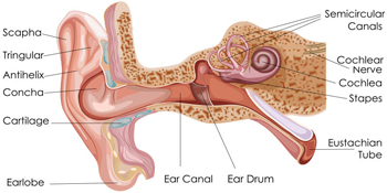 ear care products hygiene travel health sets toddler elder old man elderly children irrigation kits