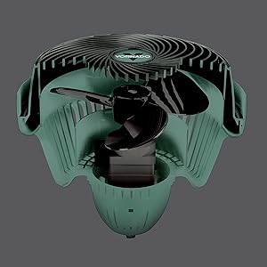 Dust-resistant motor