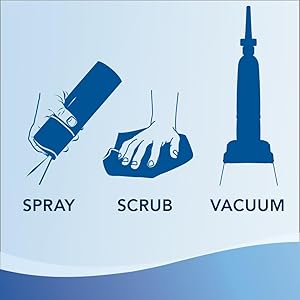 Spray, Scrub and Vacuum