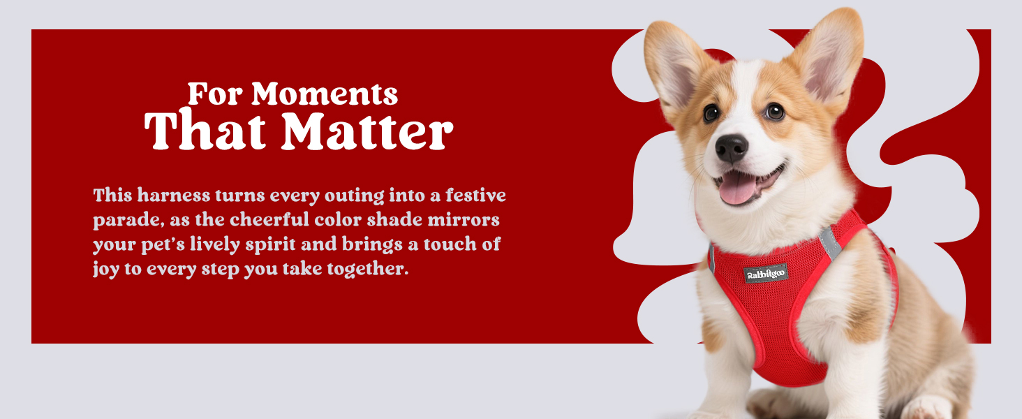 red harness for small dogs