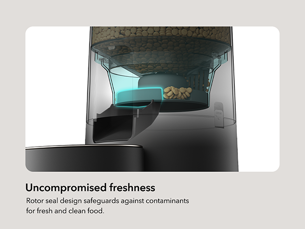 automatic cat feeders