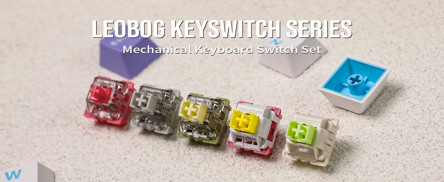 LEOBOG SWITCH SET