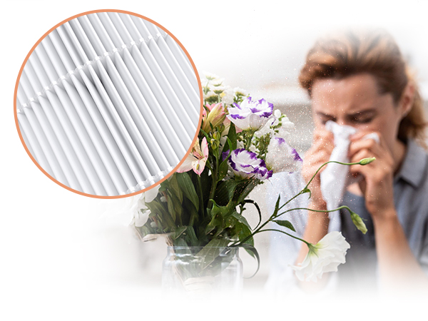 air purifiers for home