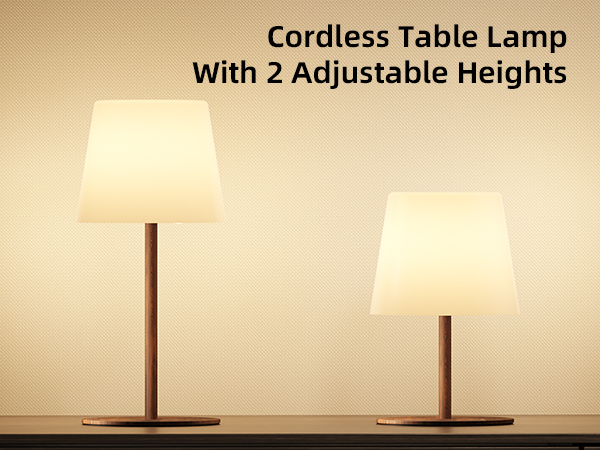 Cordless Table Lamp