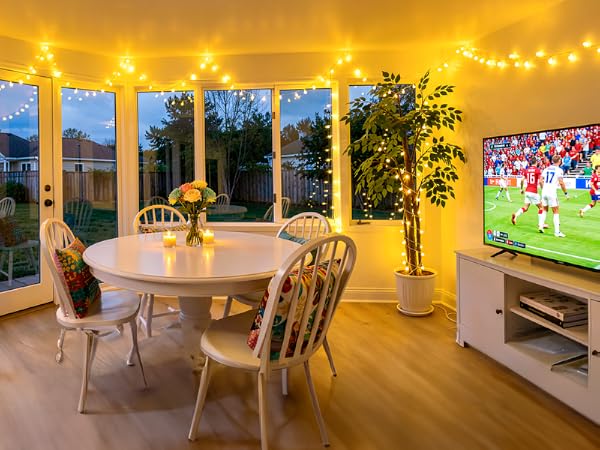 Living Room Decoration