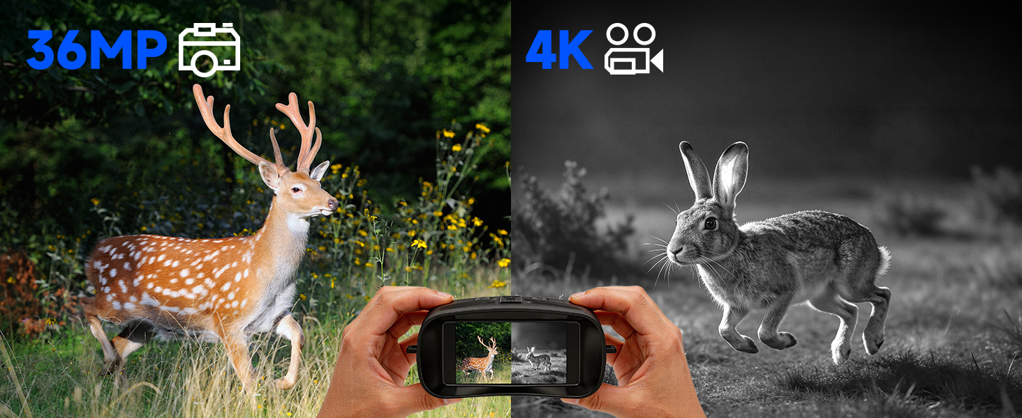 night vision binoculars