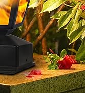 Solar Flame Post Lights