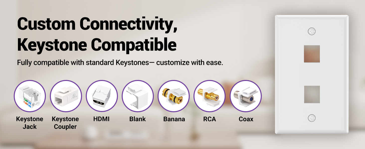 keystone wall plate 2-port