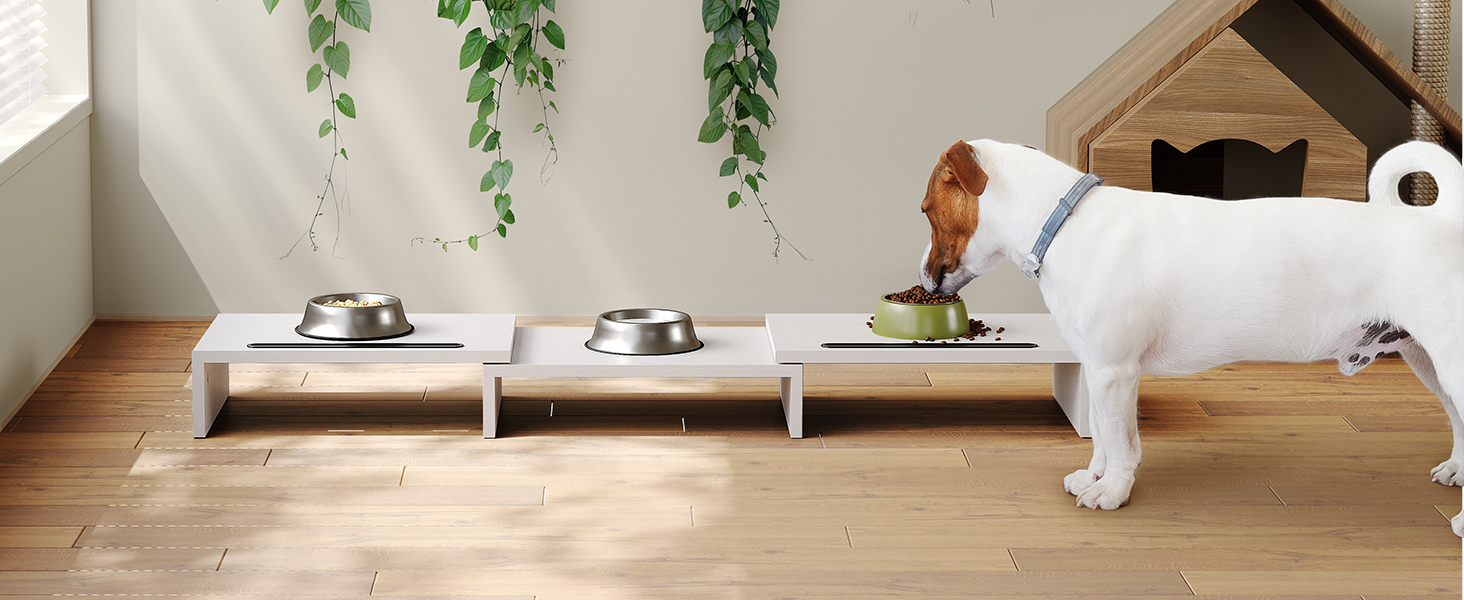 monitor stand for desk