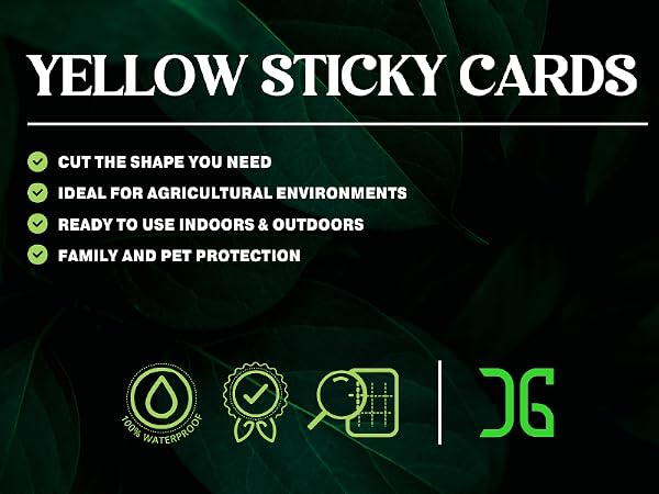 yellow sticky cards