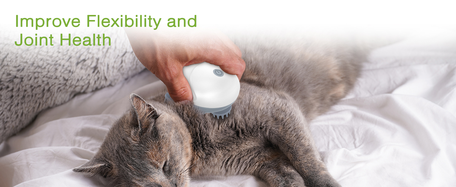 Cordless Pet Massager