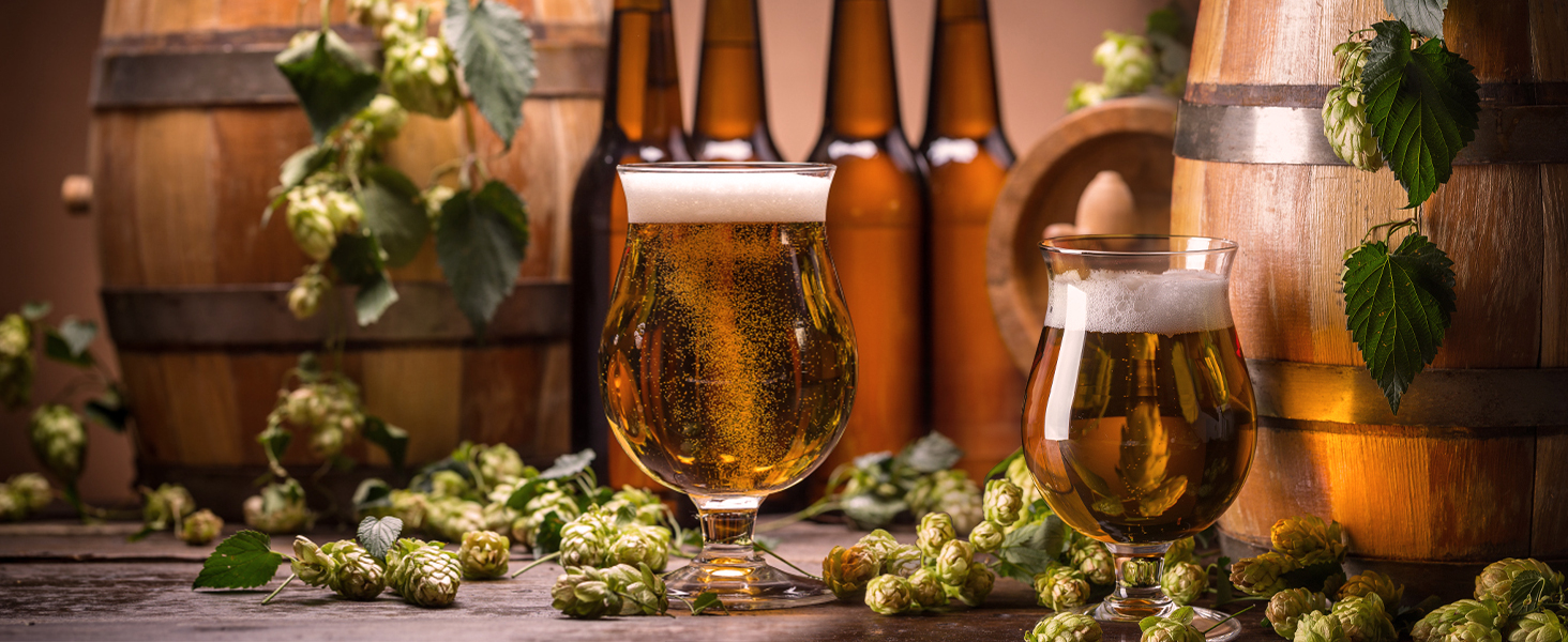 Temperature controller home brewing