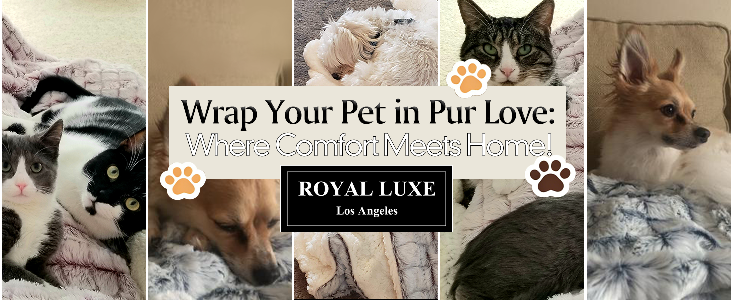 Royal Luxe Micromink Sherpa Reversible Throw