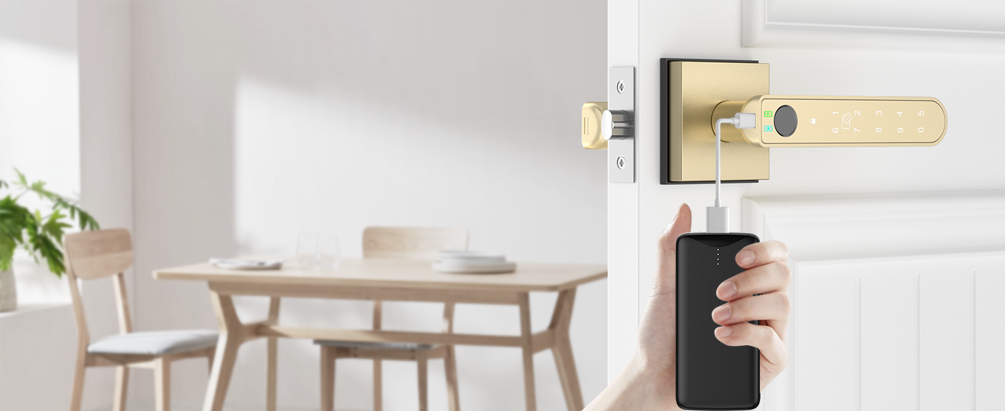 gold smart door handle