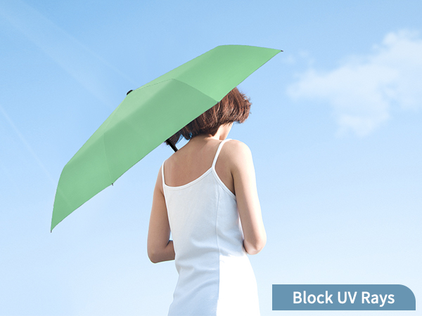 Windproof Travel Umbrella