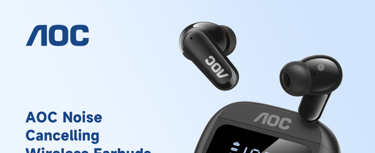 noise cancelling earbuds