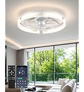 Aphyni Ceiling Fans with Lights and Remote, 19.7'' Low Profile Ceiling Fan, 1-6 Wind Speeds, 3000...