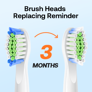 brush heads replacing reminder toothbrush with 3 months of the year